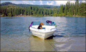 dogboat